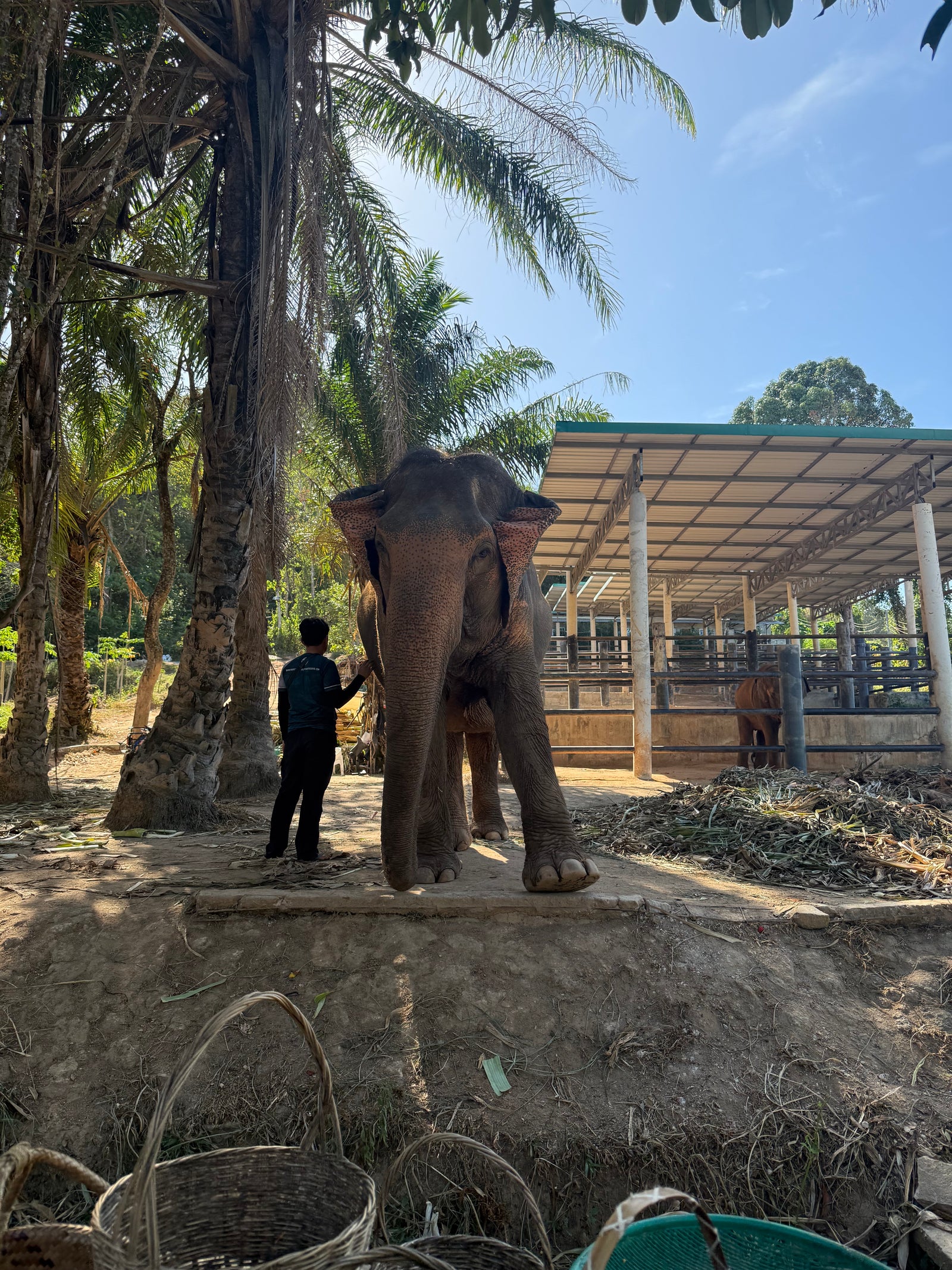 Phuket Elephant Nature Reserve