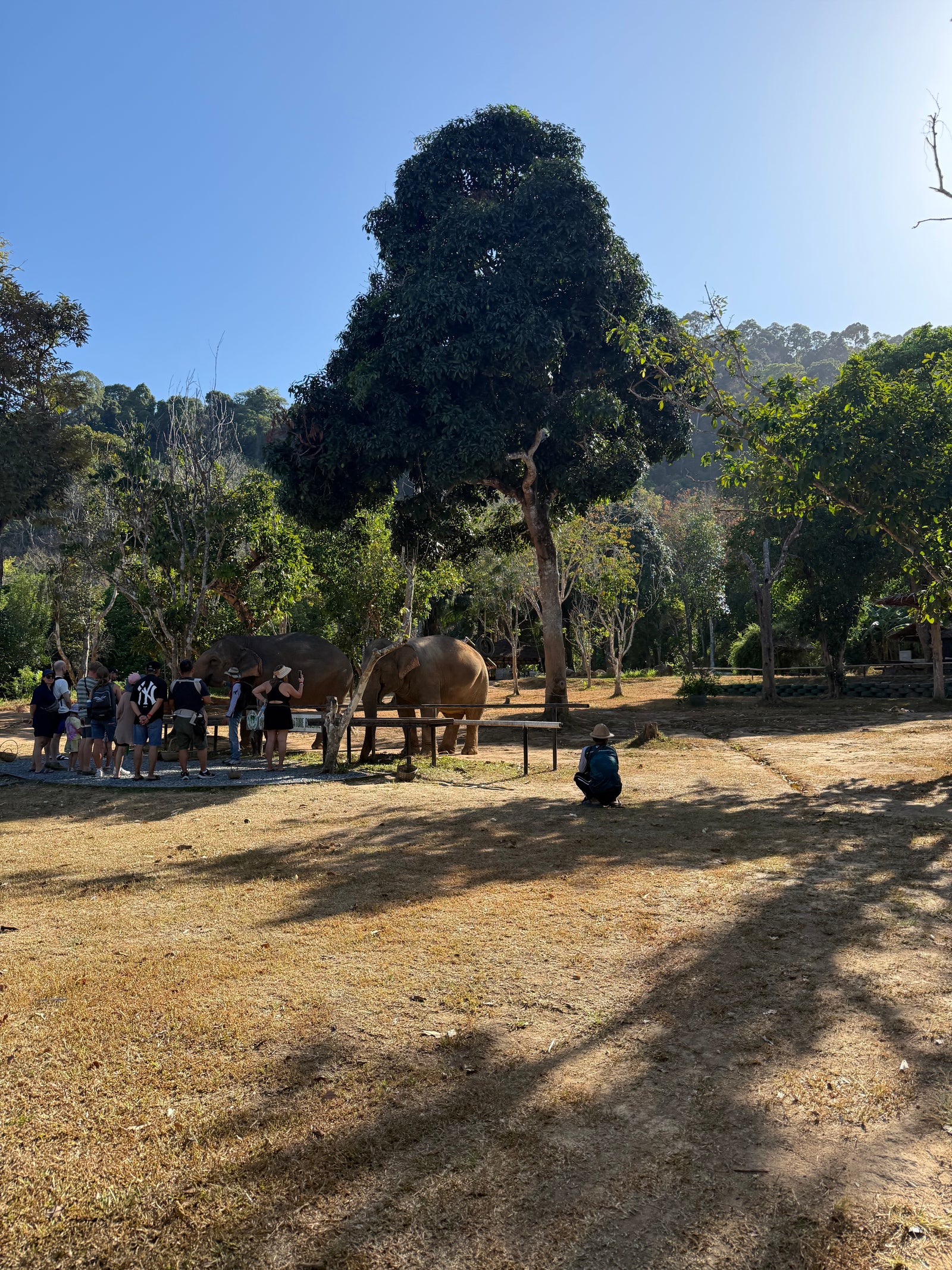 Phuket Elephant Nature Reserve