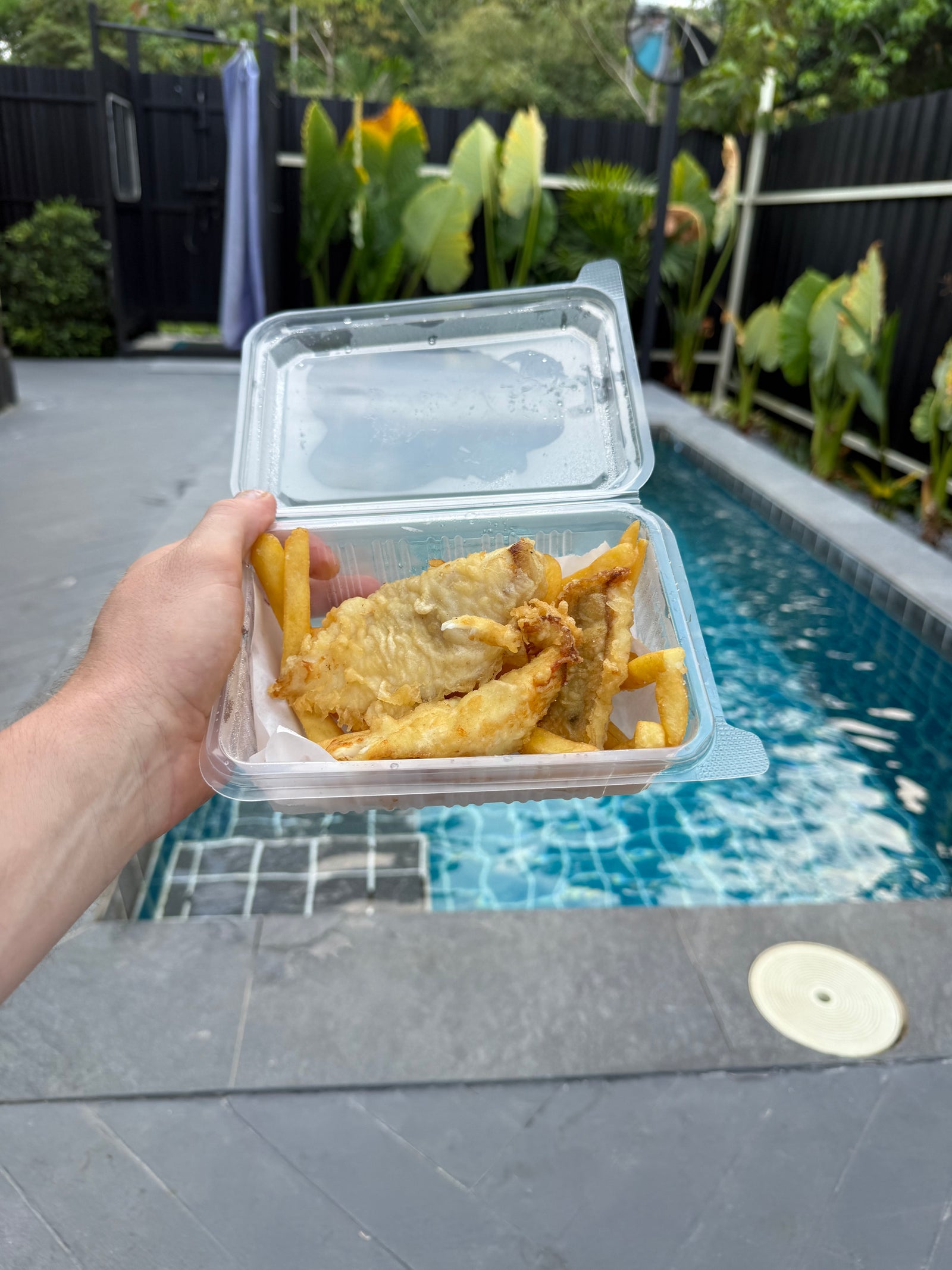 The Fish And Chip