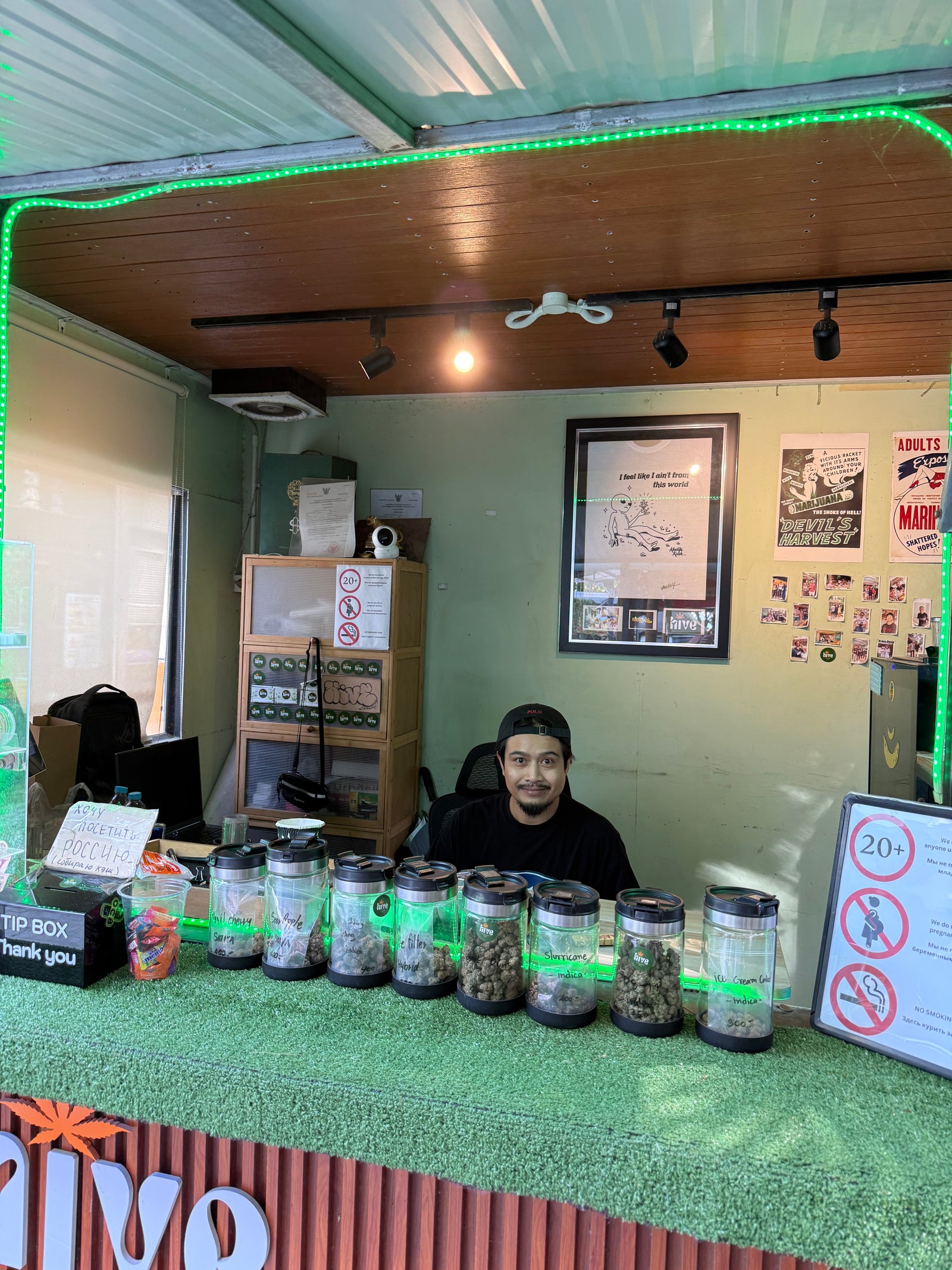 HIVE
